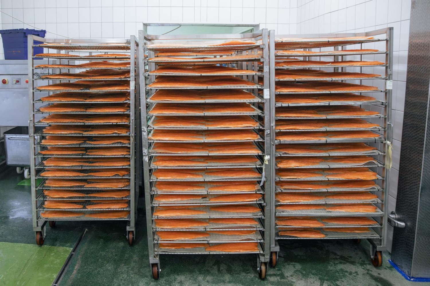 WhatsApp Image 2025-11-19 at 14.31.17 (1)