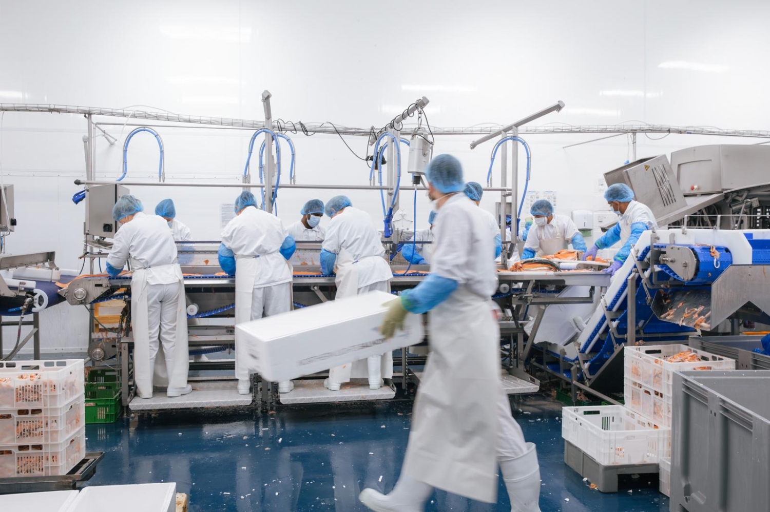 WhatsApp Image 2025-11-19 at 14.31.19