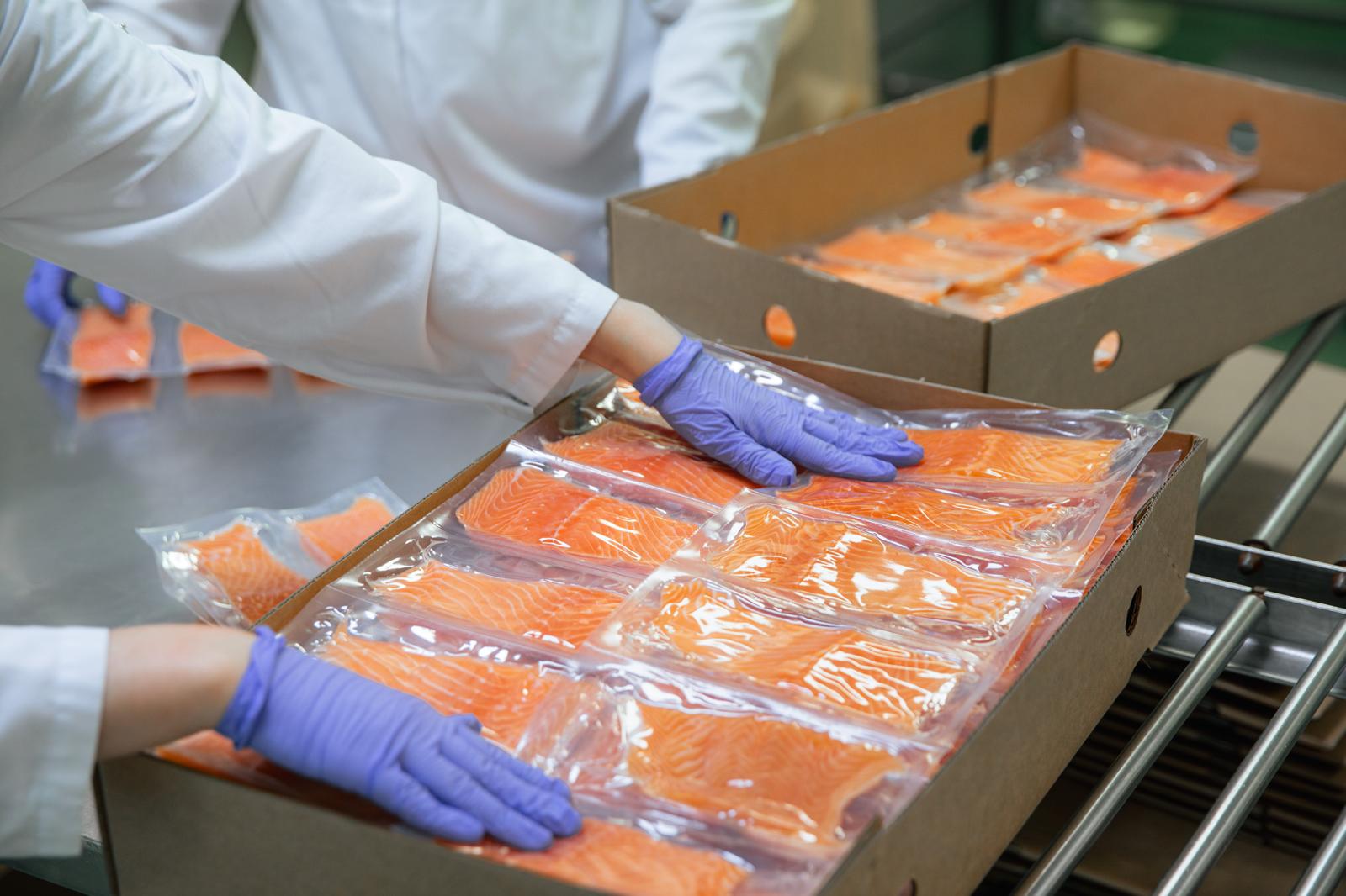 WhatsApp Image 2025-12-17 at 13.28.29